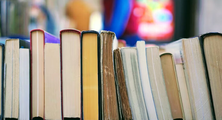Novelas del siglo XIX en dominio público