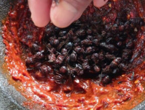 Salsa de chicatanas