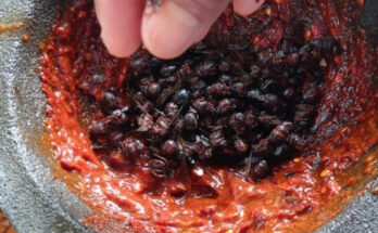 Salsa de chicatanas