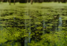 Agua sucia