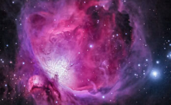 Universo